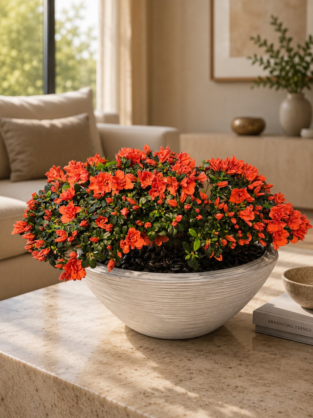 Sunset Azalea