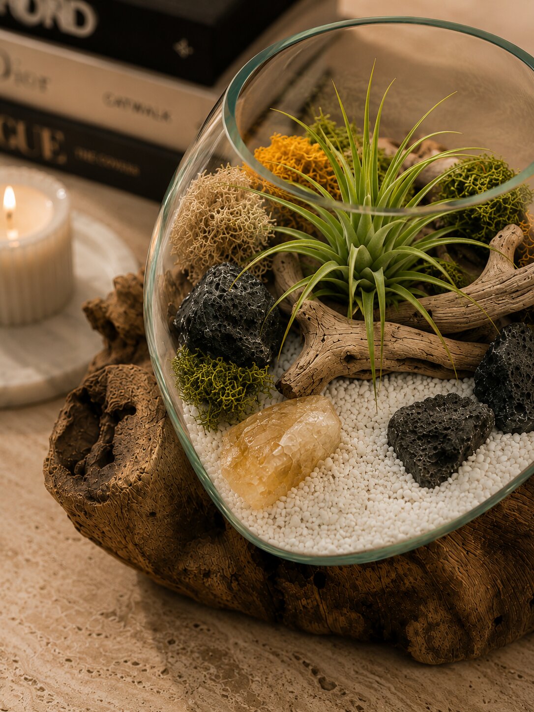 Althéa — Molten Glass on Teak Driftwood Terrarium