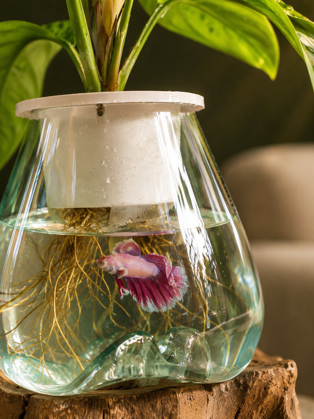 Avenoir — Molten Glass on Teak Driftwood Tabletop Planter