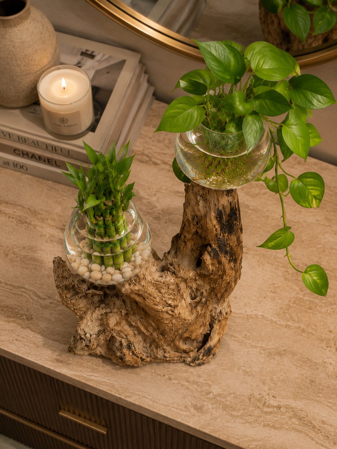 Caelis — Double Molten Glass on Teak Driftwood Terrarium