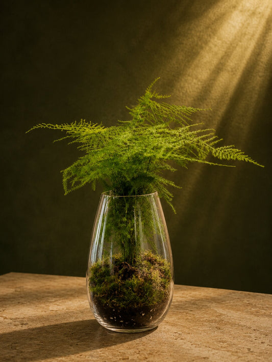 Miniature Forest Fern