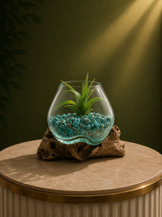 Nyrelle — Single Molten Glass on Teak Driftwood Terrarium