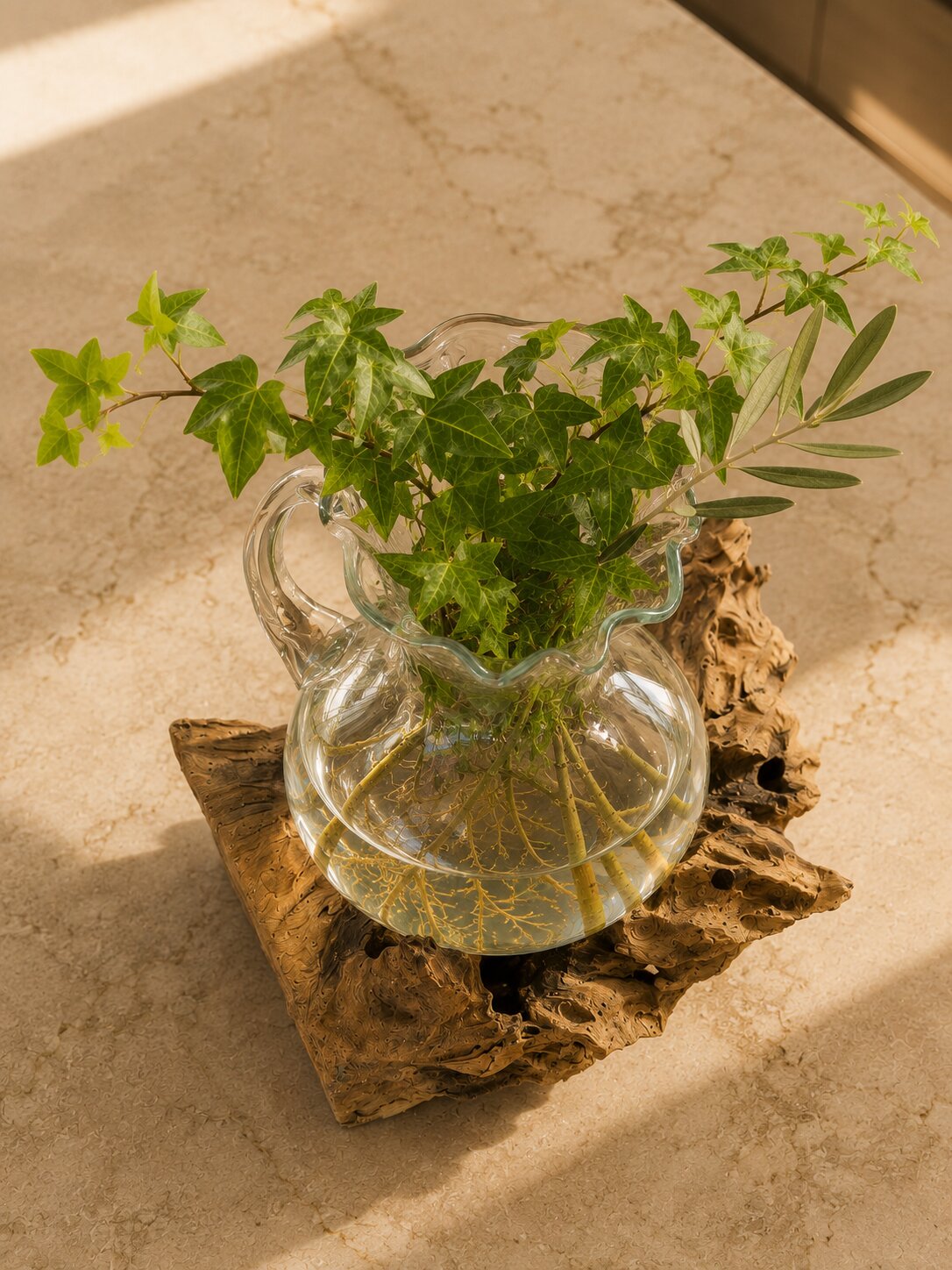 Olienne — Molten Glass Pitcher on Teak Driftwood Terrarium